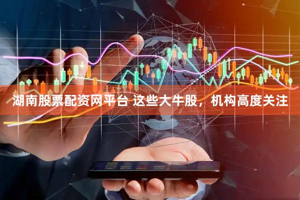 湖南股票配资网平台 这些大牛股，机构高度关注