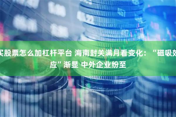 买股票怎么加杠杆平台 海南封关满月看变化：“磁吸效应”渐显 中外企业纷至